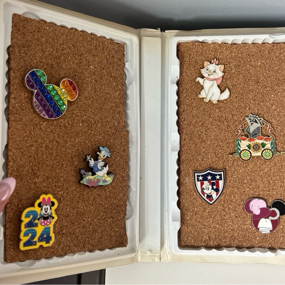 Disney Toy Story 2 VHS Pin Board